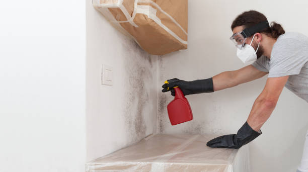 Professional Commercial Mold Remediation technician working in Oradell, NJ